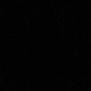 Meet your Posher, Ella